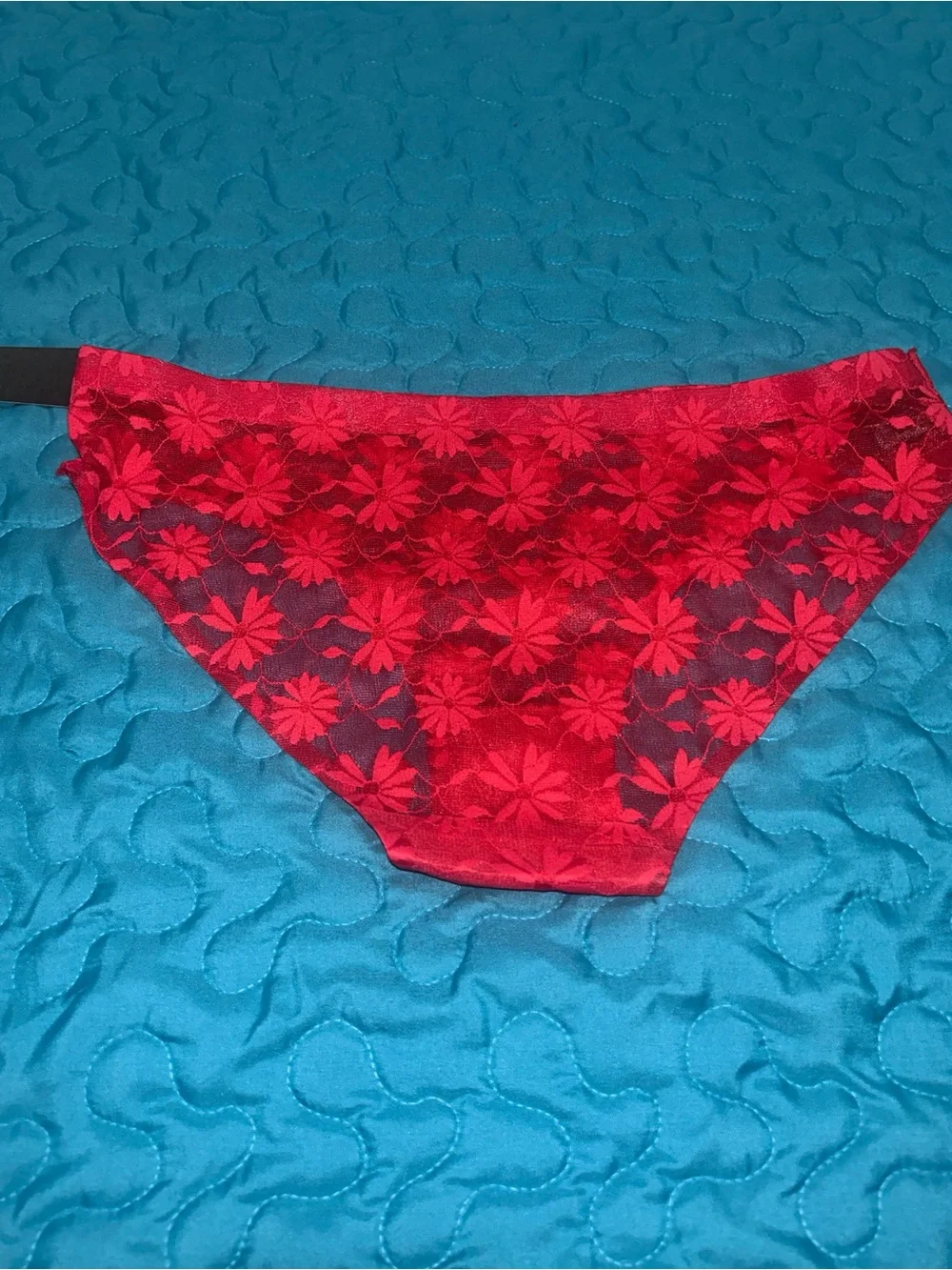 Lot of 5 Women's Cheeky and Brief Panties!!!! NWT